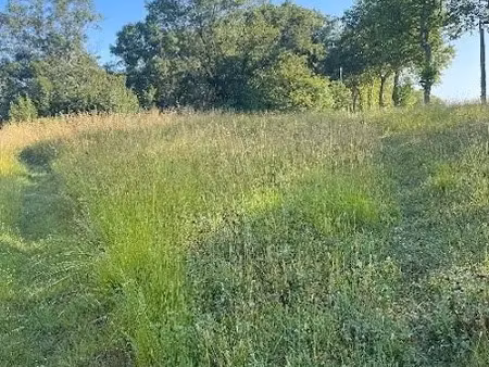 vente terrain 630 m² à villefranche-de-lauragais (31290)  75 000 €