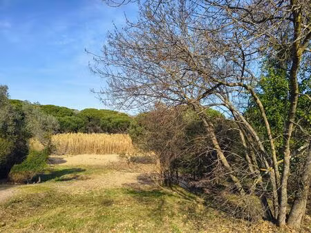 vente terrain à construire 2561 m² fréjus (83600)
