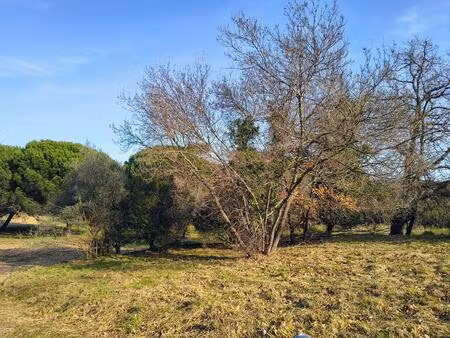 vente terrain à construire 544 m² fréjus (83600)