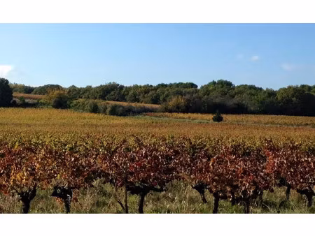 vente terrain 500 m² sauveterre-de-guyenne (33540)