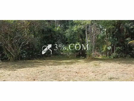 vente terrain 8000 m² à matoury (97351)  257 500 €