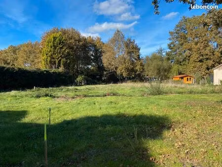 terrain 503 m² brach