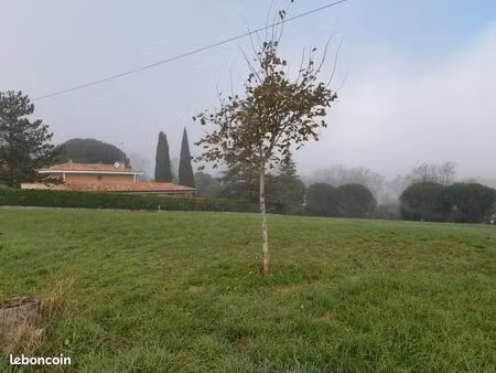 terrain 500 m² l union