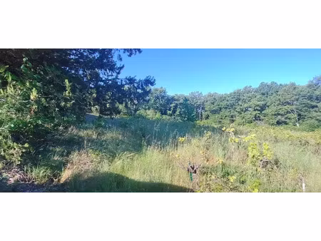 vente terrain 1460 m² à barjac (30430)  81 000 €