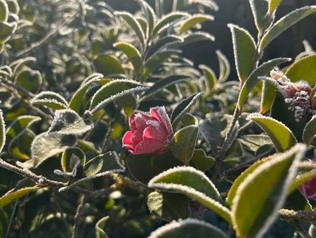 maison location 950 euros