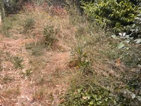 terrain 400 m² cadillac