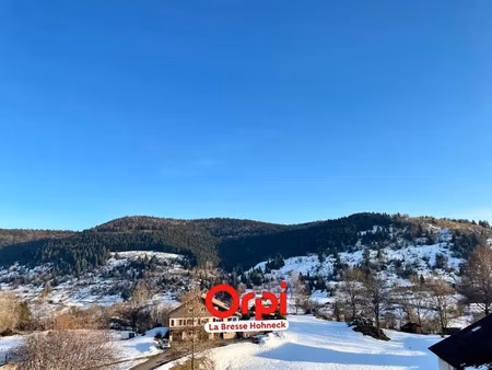 vente terrain à batir 1271 m² à la bresse (88250)  109 000 €