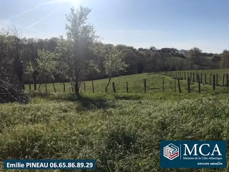 vente terrain 800 m² à guiche (64520)  115 000 €