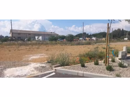 vente terrain 620 m² à sallèles-d'aude (11590)  117 500 €