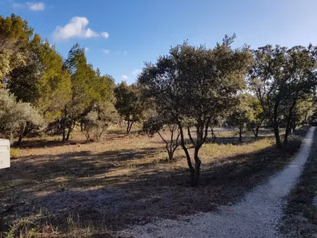 vente terrain 1807 m² à saint-restitut (26130)  198 000 €