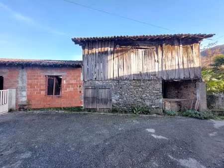 vente locaux professionnels à arbas (31160)  29 000 €