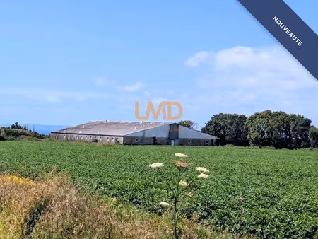 vente locaux professionnels à kerlaz (29100)  335 000 €