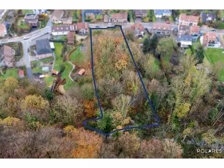 un terrain unique en emplacement de choix à oud-heverlee