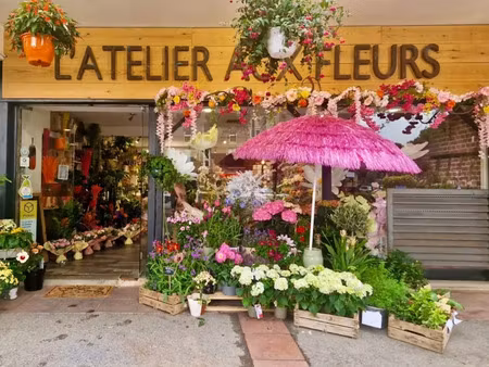 vente locaux professionnels 90 m² à plan-de-cuques (13380)  128 000 €