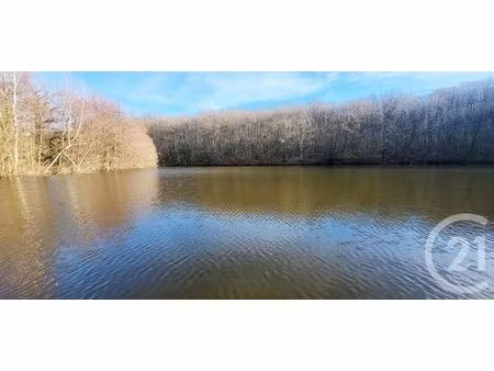 terrain à vendre - 13145 m2 - villebret - 03 - auvergne