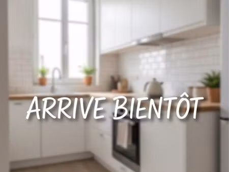 appartement 1 chambre à louer - anzin