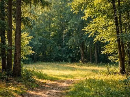 recherche terrain de loisirs