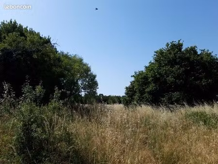 terrain 699 m² crazannes