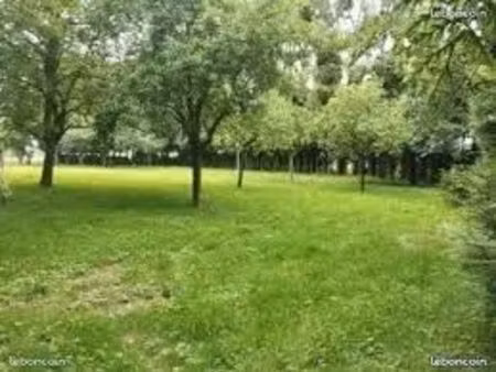 terrain animaux / jardin