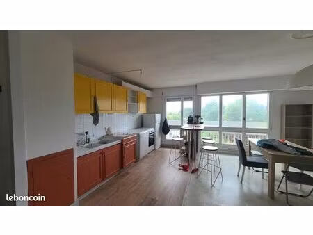 appartement meublé 79 m² - quartier grelet