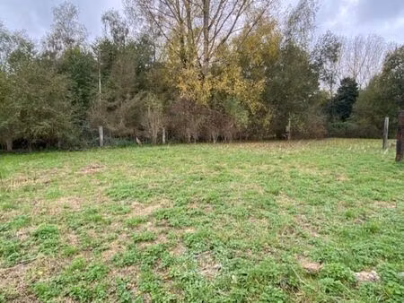 vente terrain 1520 m² rauzan (33420)