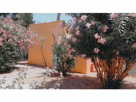 vente maison 2 pièces 29 m² borgo (20290)