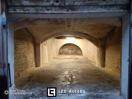 immobilière les allées