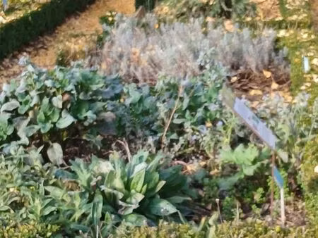 recherche t3 t4 urgent