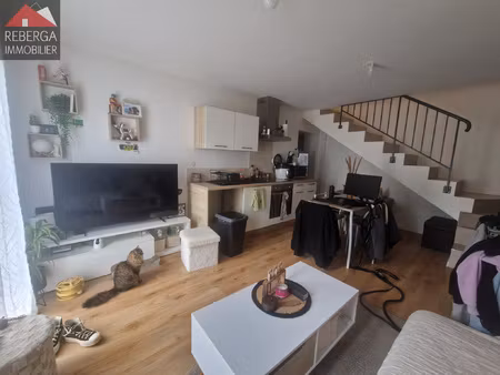 maison meublée - castres