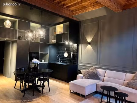 appartement t3 meuble hyper centre