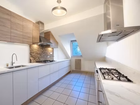 au centre d’altkirch  poutre apparente  poêle pellet   jardin