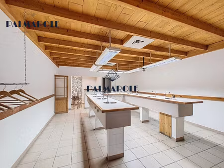 perpignan - clémenceau/espace méditerranée - local commercial