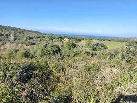 terrain agricole à calvi