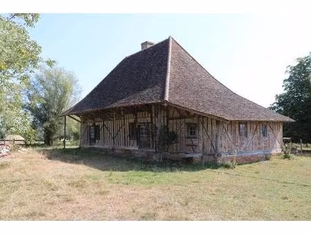 michelin didier capifrance