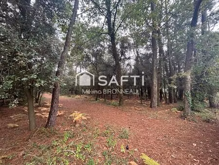 opportunité rare sur le secteur