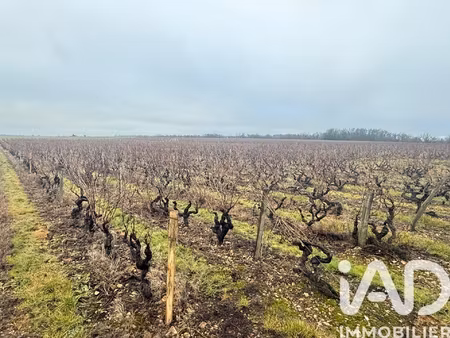 vente terrain 24 342 m²