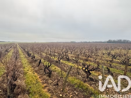 vente terrain 39 692 m²