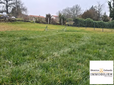 terrain ternand 739 m2