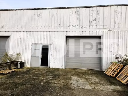 local d'activite a louer