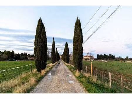 maison de luxe à vendre à aimargues : 1 050 000 €