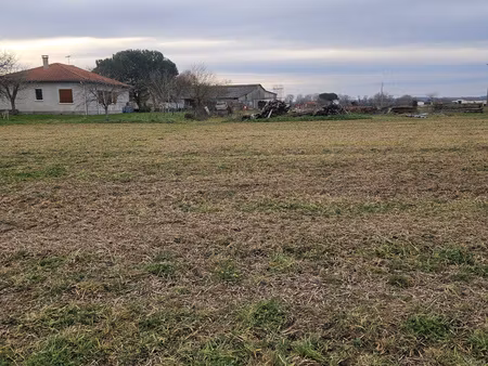 grand terrain constructible