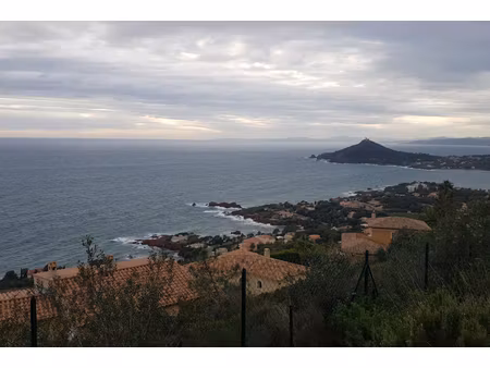 annonce terrain à vendre