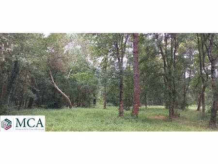 vente terrain 1484 m² ménesplet (24700)