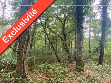 meuilley - terrain à vendre - 9999m2 - 40 000 € - réf: 662lg - bourse immobilière