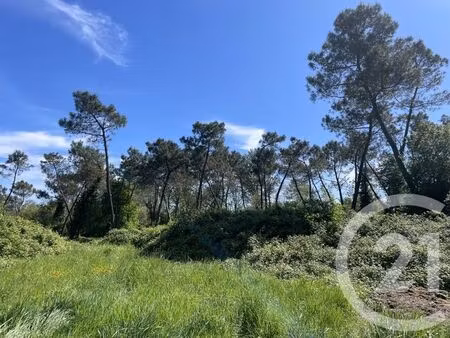 terrain à vendre - 12963 m2 - montauban - 82 - midi-pyrenees