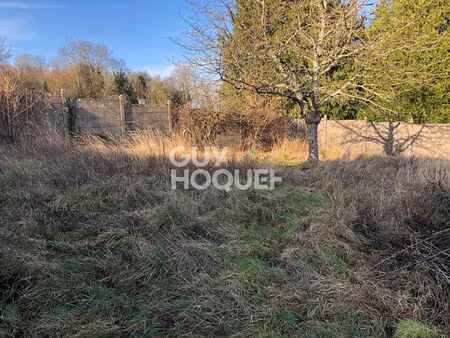 terrain constructible