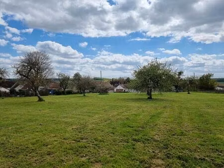 achat : terrain (77560)