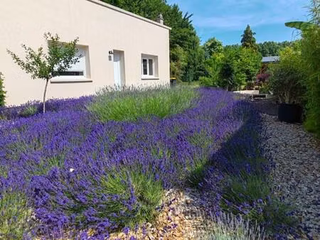 location maison 2 pièces 40 m² à gien (45500)