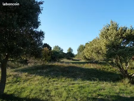 terrains a bâtir à lirac - viabilisés et piscinables