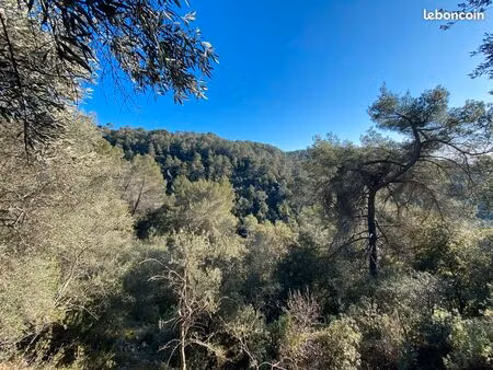 terrain non constructible 1371m2